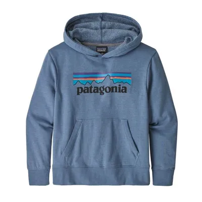 Patagonia Kids' Lightweight Graphic Hoody Sweatshirt