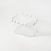 Clear Storage Container