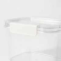 Clear Storage Container