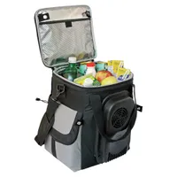 Koolatron 12V Electric Cooler Bag, 13L Soft Bag Cooler - Gray/Black