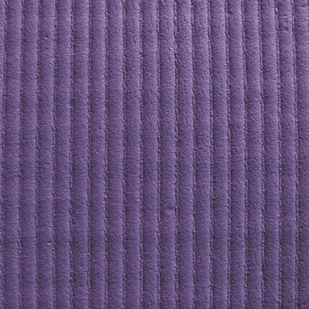 Tapis Pilates Express de Stott Pilates (ST-02129) - Violet