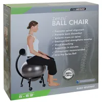 PurAthletics Ball Chair (WTE10441) - Black