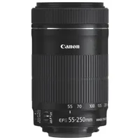 Canon EF-S 55-250mm f/4-5.6 IS STM Lens