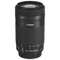 Canon EF-S 55-250mm f/4-5.6 IS STM Lens