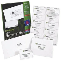 Avery EcoFriendly 2" x 4" Mailing Label (AVE48163) - 1000 Pack - White