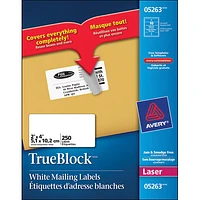 Avery 2" x 4" TrueBlock Mailing Labels (AVE05263) - 250 Pack