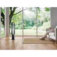 Ventilateur vertical de Dyson (AM07) - Noir-nickel