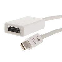 Insignia Mini DisplayPort to 4K HDMI Adapter - Only at Best Buy
