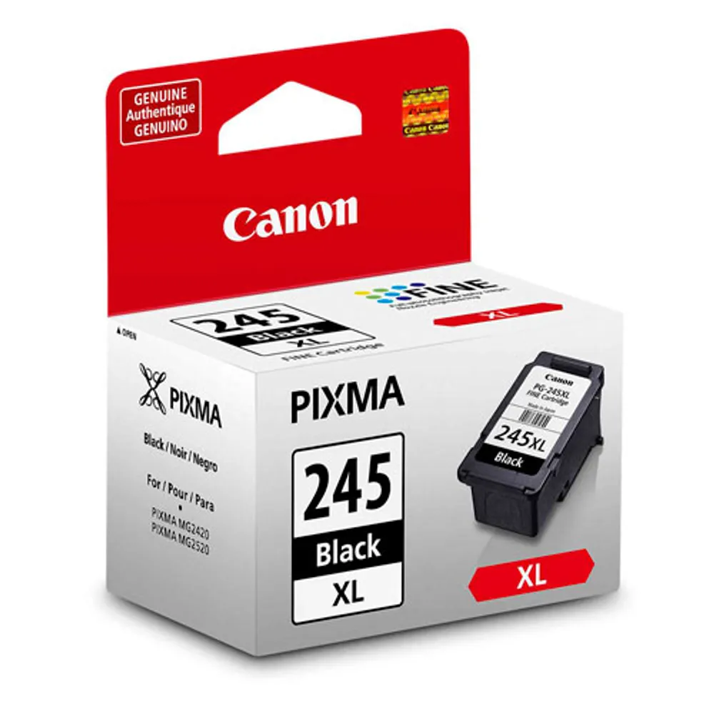 Canon Pixma 245XL Black Ink (8278B010) - 2 Pack