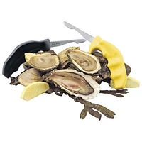 Swissmar Oyster Knife (SK2013YL) - Yellow