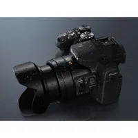 Panasonic Lumix FZ300 12.1MP 24x Optical Zoom Digital Camera - Black