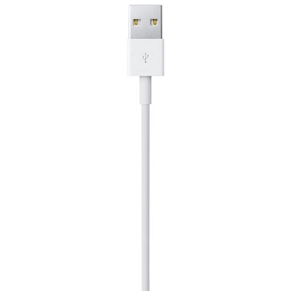 Apple 2m (6.5 ft.) Lightning to USB Cable (MD819AM/A)