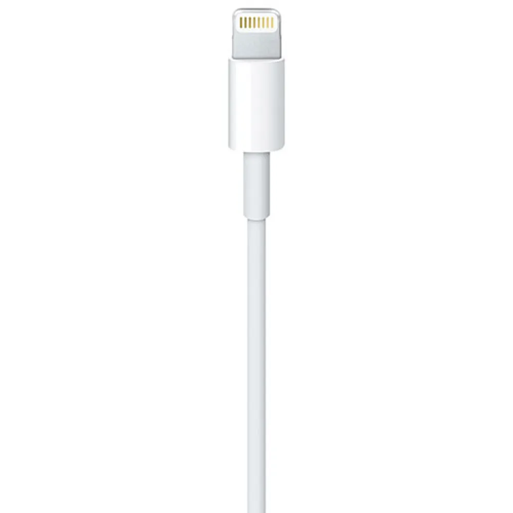 Câble Lightning à USB de 2 m (6,5 pi) d'Apple (MD819AM/A)