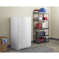 Amana 16 Cu. Ft. Upright Freezer (AZF33X16DW)