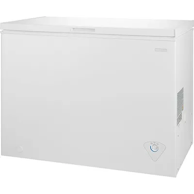 Insignia 10.2 Cu. Ft. Garage Ready Chest Freezer (NS-CZ10WH6-C) - White - Only at Best Buy