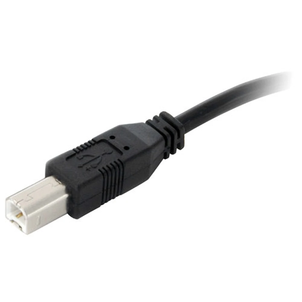 StarTech 10m (32.8 ft.) USB-A to USB-B Cable (USB2HAB30AC) - Black