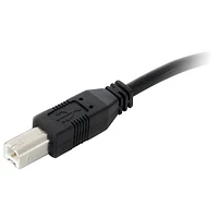 Câble USB-A vers USB-B de 10 m (32,8 pi) de StarTech (USB2HAB30AC) - Noir