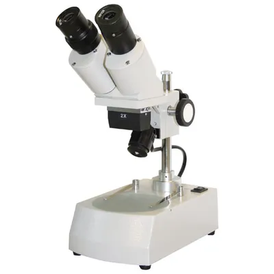 Microscope stéréo binoculaire à éclairage à DEL 20-40x série XKC de Walter Products