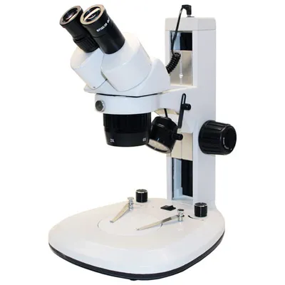 Microscope stéréo binoculaire à éclairage à DEL 10-20x série QFN de Walter Products