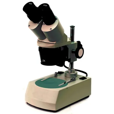 Microscope stéréo sans fil binoculaire à éclairage à DEL 20-40x série ST de Walter Products