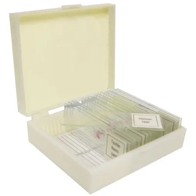 Walter Products Introduction to Biology Prepared Slide Set - 15 Piece