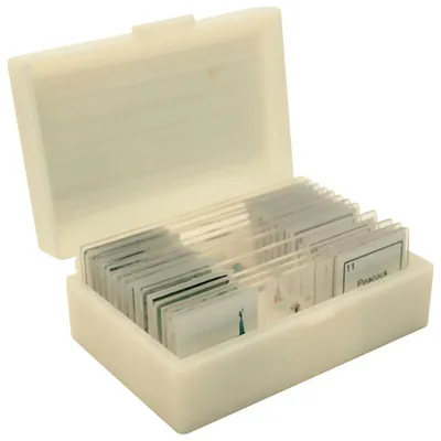 Walter Products Parts of Insect Prepared Slides - Set of 12