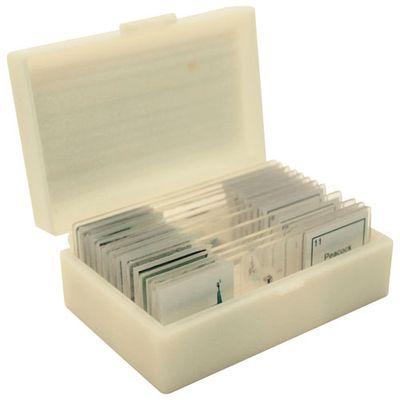 Walter Products Hair Type Prepared Slides - Set of 9