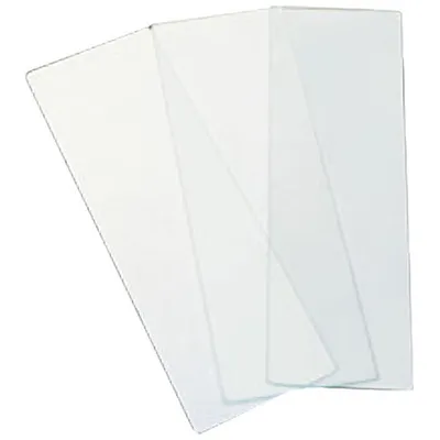 Walter Products 1" x 3" Glass Microscope Slide - 72 Pack
