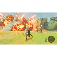 The Legend of Zelda: Breath of the Wild (Switch)