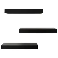 Maine 16" 3-Piece Wall Shelf - Black