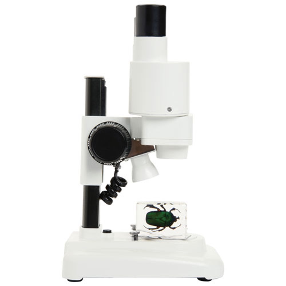 Celestron Labs S20 20x Stereo Microscope