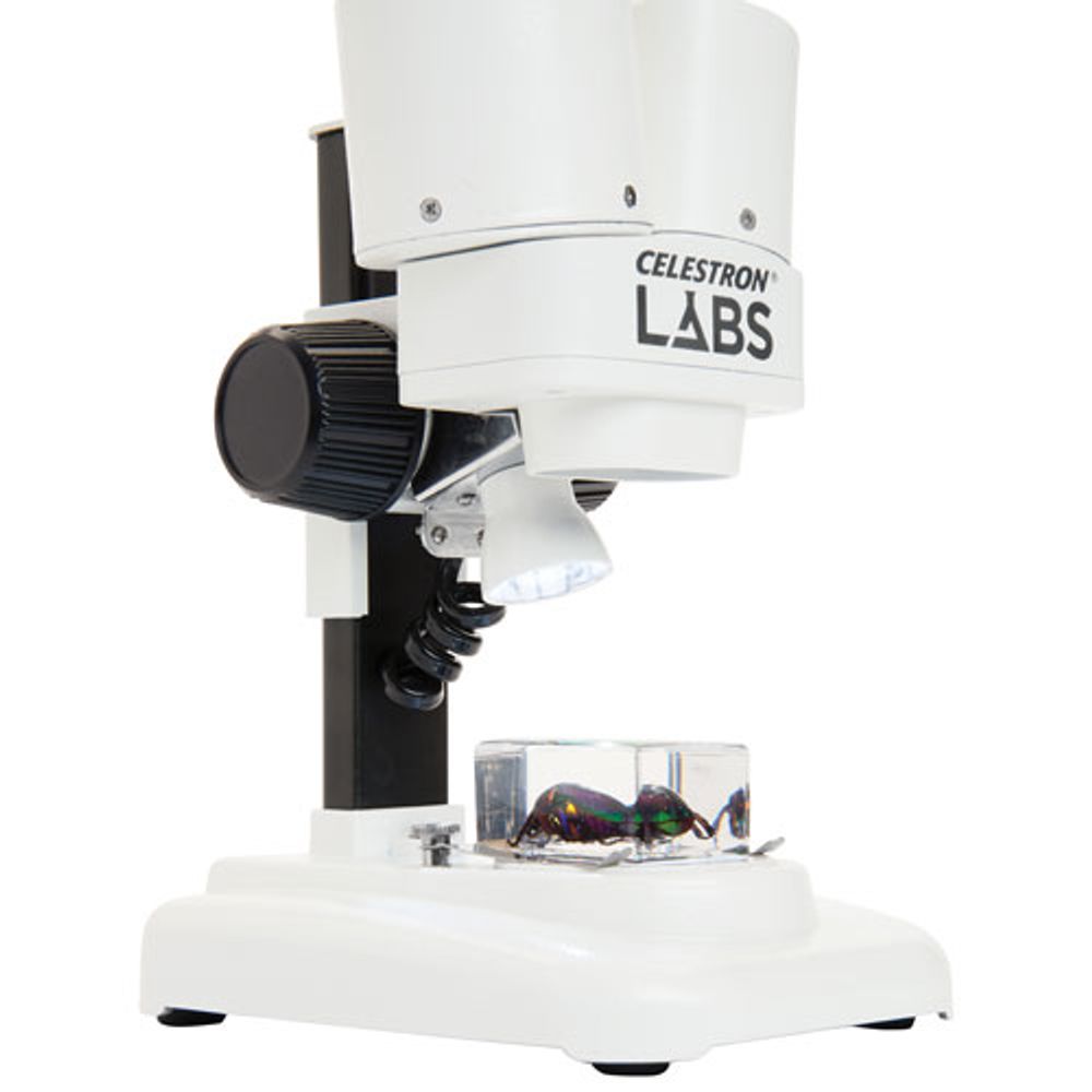 Celestron Labs S20 20x Stereo Microscope