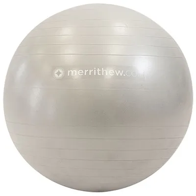 STOTT PILATES 25.5" Stability Ball - Silver