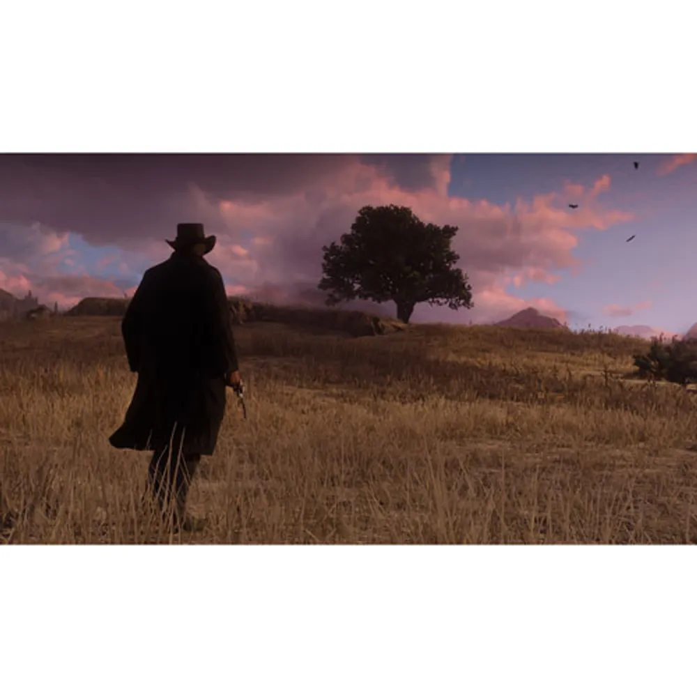 Red Dead Redemption 2 (Xbox One)