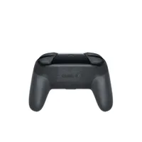 Nintendo Switch Pro Controller