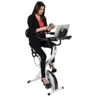 FitDesk 3.0 Exercise Desk Bike