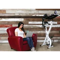 FitDesk 3.0 Exercise Desk Bike