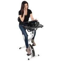 FitDesk 3.0 Exercise Desk Bike