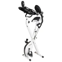 FitDesk 3.0 Exercise Desk Bike