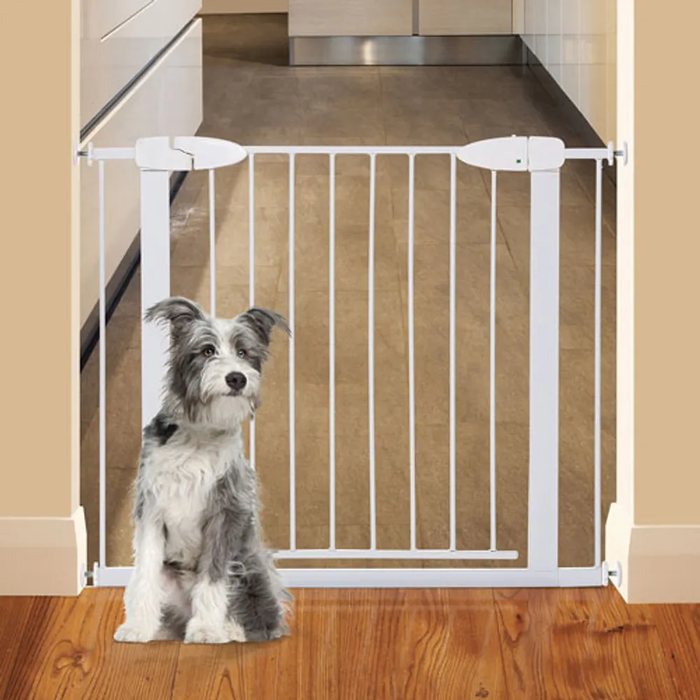 Dreambaby Boston Auto-Close Pressure-Mounted Safety Gate - White