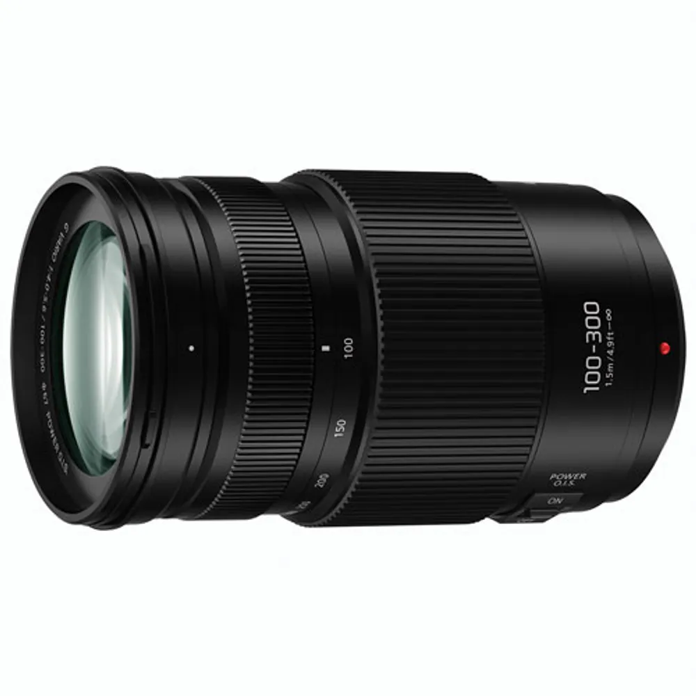 Panasonic LUMIX G VARIO 100-300mm f/4-5.6 Power OIS Lens