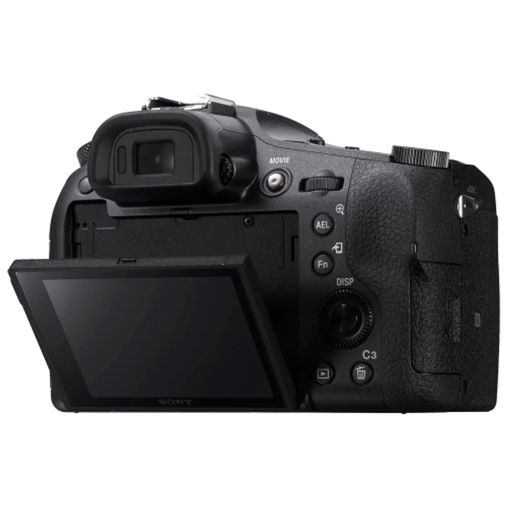 sony rx10 best buy