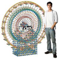 K'NEX Thrill Rides 6-Foot Ferris Wheel Building Set - 8,550 Pieces