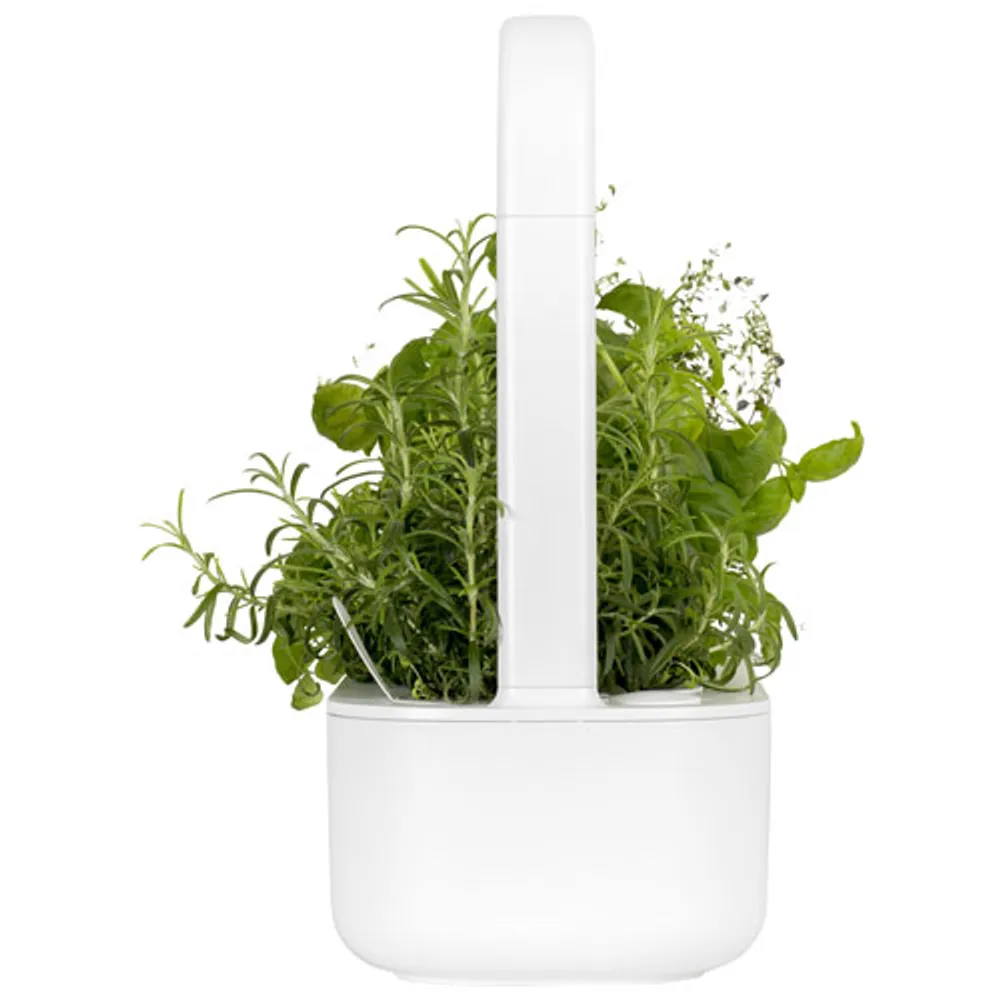 Click & Grow Smart Garden 9 (SG9S1US) - White