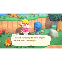 Animal Crossing: New Horizons (Switch)