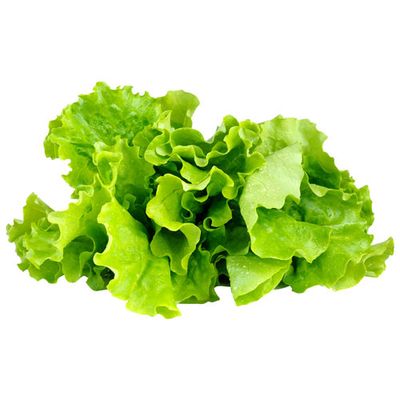 Click & Grow Lettuce Seed Capsule Refill - 3 Pack