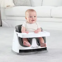 Ingenuity Baby Base 2-in-1 Booster Seat with Tray - Slate