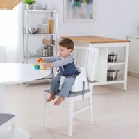 Ingenuity Baby Base 2-in-1 Booster Seat with Tray