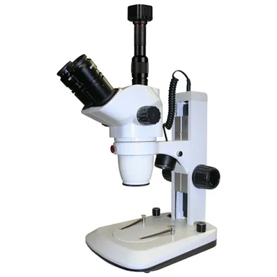 Walter Products 6.7x - 45x Trinocular Stereo Microscope with Built-in Camera (QZBDNS5.0WH)