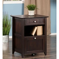 Burke 2-Drawer File Cabinet - Coffee